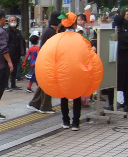 パンプキン.png