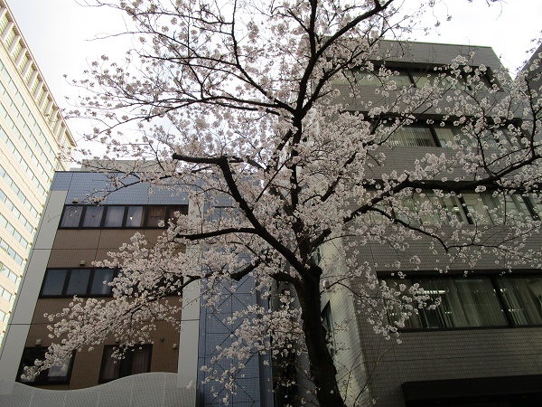 港区立芝高齢者在宅サービスセンター・芝地区高齢者相談センター｜湖山医療福祉グループ｜医療法人財団 百葉の会