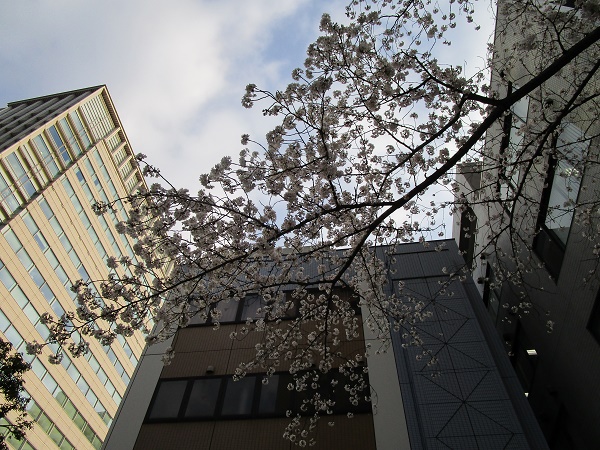 港区立芝高齢者在宅サービスセンター・芝地区高齢者相談センター｜湖山医療福祉グループ｜医療法人財団 百葉の会